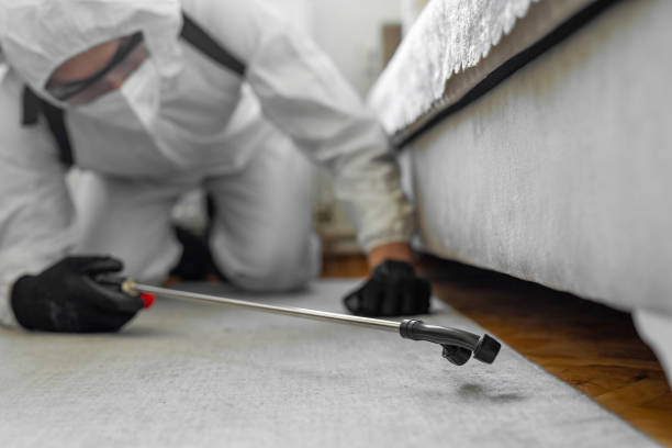 Professional Ant Control technician working in Immokalee, FL
